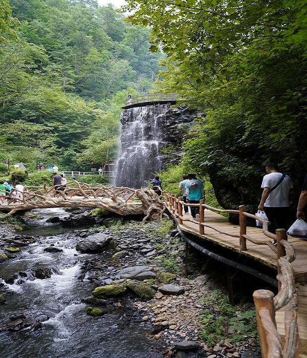 1661300429279020.jpg 1.jpg